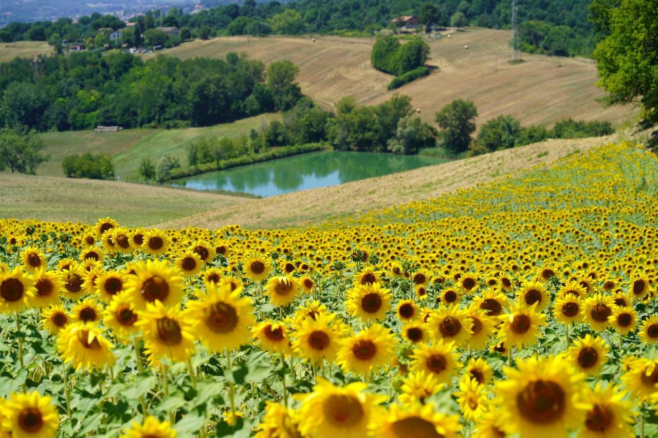 Agriturismo Il Sarale - Umbria Città di Castello Zewnętrze zdjęcie