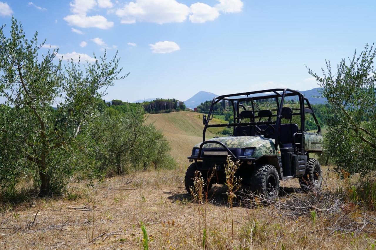 Agriturismo Il Sarale - Umbria Città di Castello Zewnętrze zdjęcie