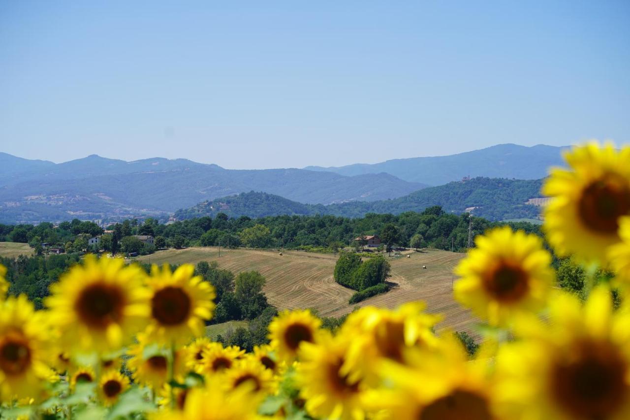 Agriturismo Il Sarale - Umbria Città di Castello Zewnętrze zdjęcie